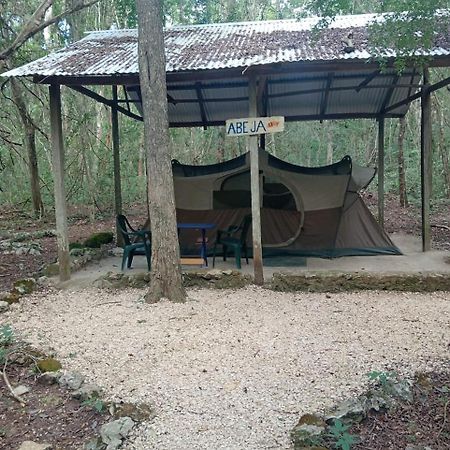 Campamento Yaax Che en Calakmul Conhuas Exterior foto
