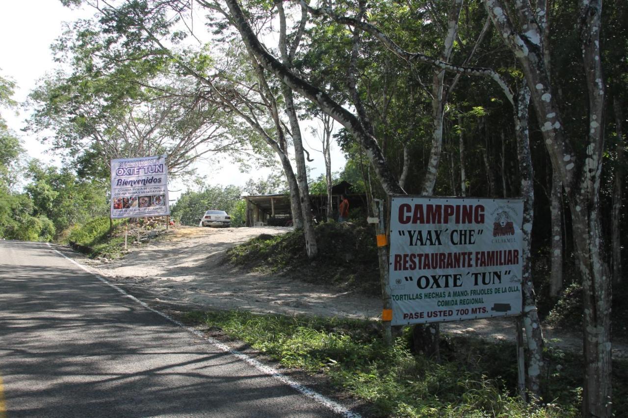 Campamento Yaax Che en Calakmul Conhuas Exterior foto