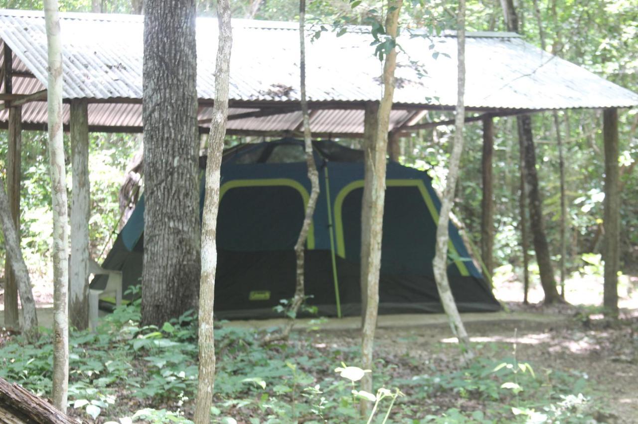 Campamento Yaax Che en Calakmul Conhuas Exterior foto