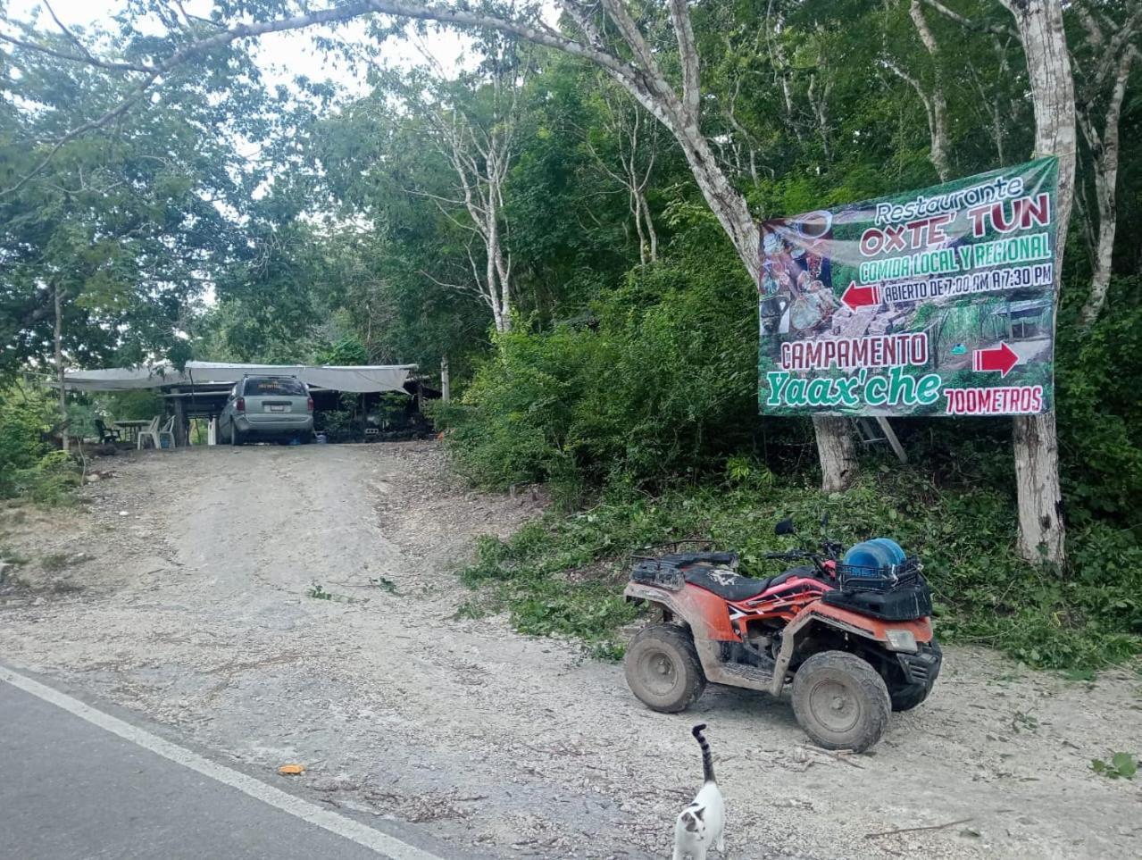 Campamento Yaax Che en Calakmul Conhuas Exterior foto