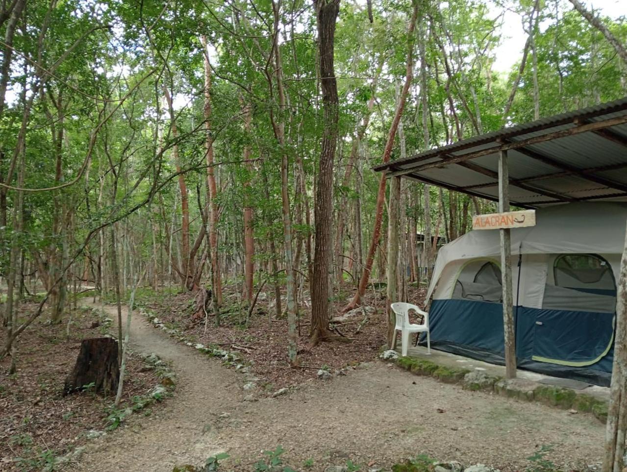 Campamento Yaax Che en Calakmul Conhuas Exterior foto