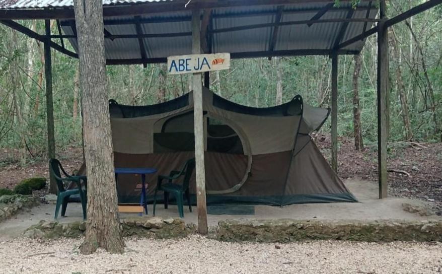 Campamento Yaax Che en Calakmul Conhuas Exterior foto