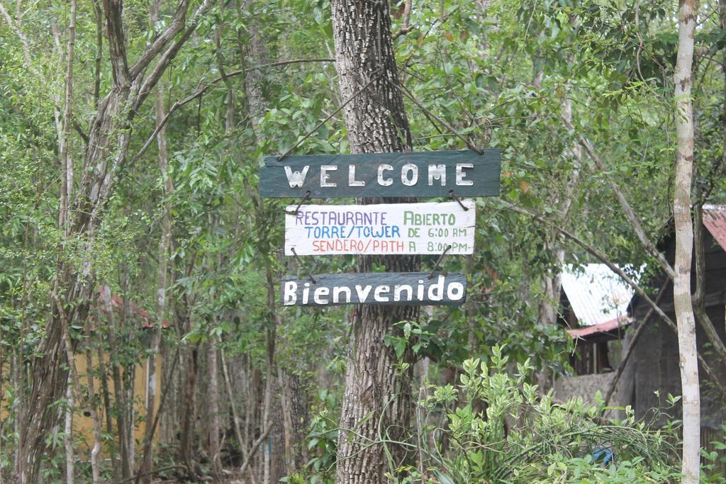 Campamento Yaax Che en Calakmul Conhuas Exterior foto